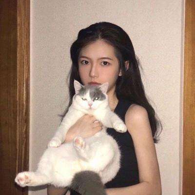 明月飞仙传手游破解版下载